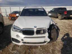 
										2017 BMW X5 full									