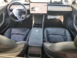 
										2019 Tesla Model 3 full									