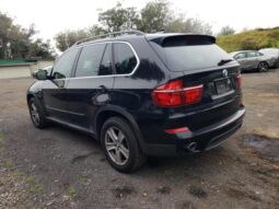 
										2013 BMW X5 full									