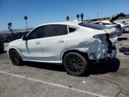 
										2022 BMW X6 full									