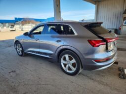 
										2019 Audi E-tron full									