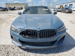 
										2022 BMW M8 full									