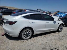 
										2019 Tesla Model 3 full									