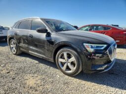 
										2019 Audi E-tron full									