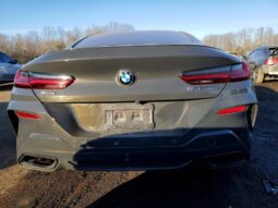 
										2019 BMW M8 full									