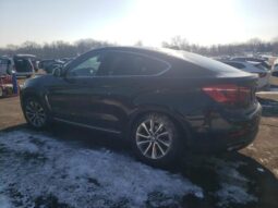 
										2019 BMW X6 full									