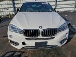 
										2019 BMW X6 full									