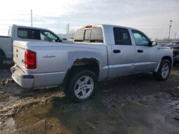 
										2008 Dodge Dakota full									