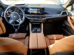 
										2026 BMW X6 full									