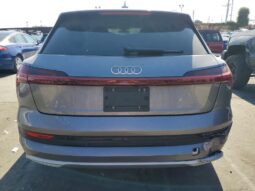 
										2019 Audi E-tron full									