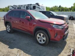 
										2019 Toyota Rav4 full									