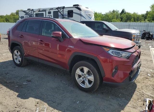
								2019 Toyota Rav4 full									