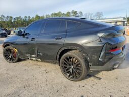 
										2024 BMW X6 full									