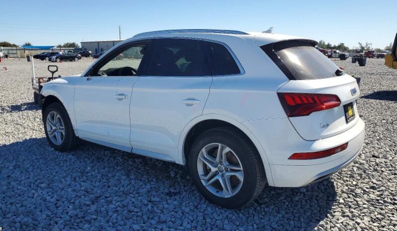 
								2019 Audi Q5 full									