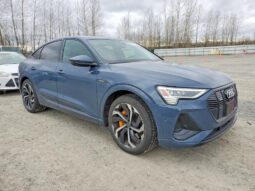 
										2022 Audi E-tron full									