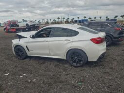 
										2018 BMW X6 full									