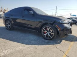 
										2024 BMW X6 full									