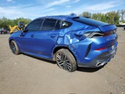 
										2020 BMW X6 full									