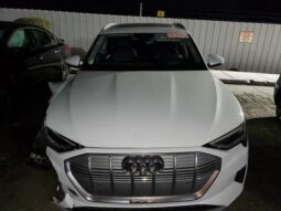 
										2019 Audi E-tron full									