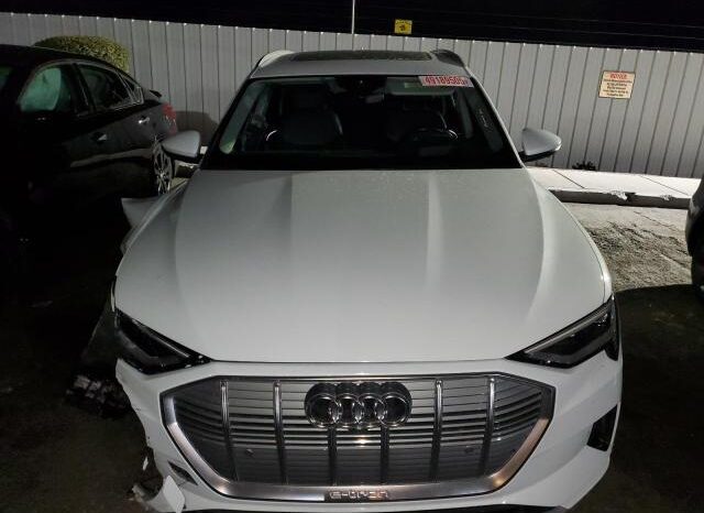 
								2019 Audi E-tron full									