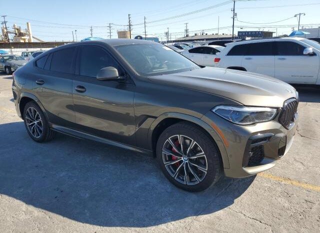
								2022 BMW X6 full									