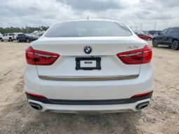 
										2019 BMW X6 full									