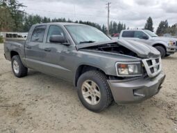 
										2011 Dodge Dakota full									
