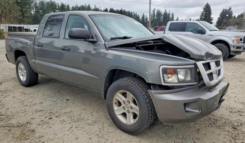 
								2011 Dodge Dakota full									