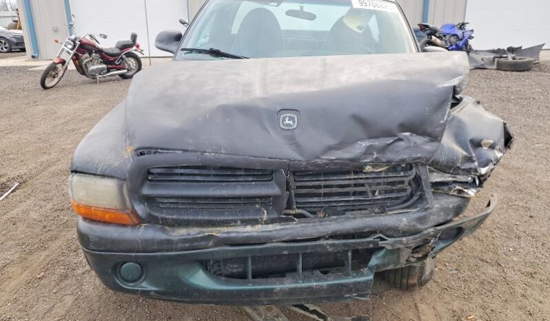 
								1999 Dodge Dakota full									
