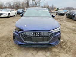 
										2022 Audi E-tron full									
