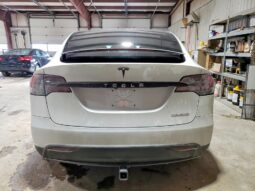 
										2019 Tesla Model x full									