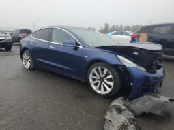
										2019 Tesla Model 3 full									