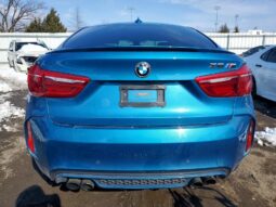 
										2017 BMW X6 full									