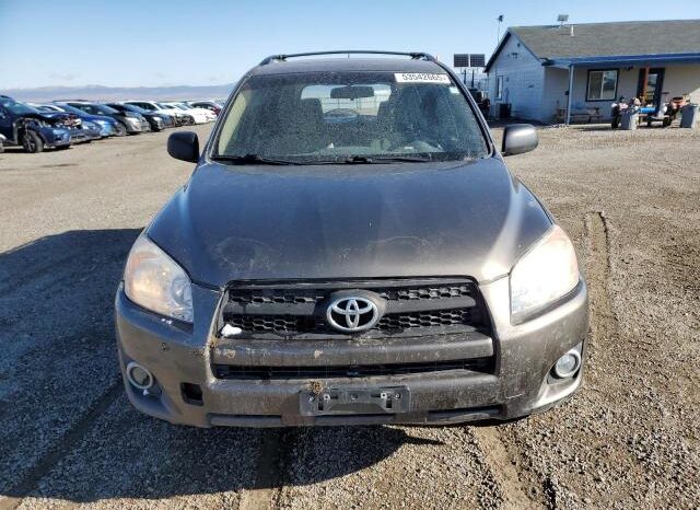 
								2012 Toyota Rav4 full									