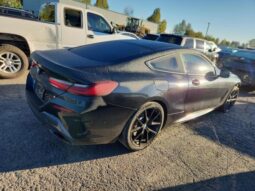 
										2021 BMW 8 series full									