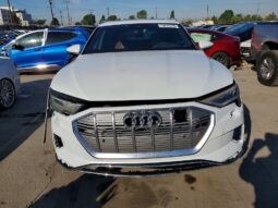 
										2019 Audi E-tron full									