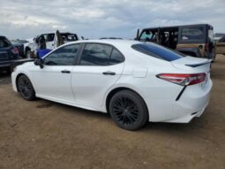 
										2019 Toyota Camry l full									