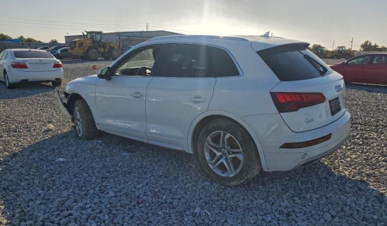 
								2019 Audi Q5 full									