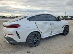 
										2026 BMW X6 full									