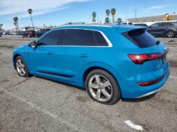 
										2019 Audi E-tron full									
