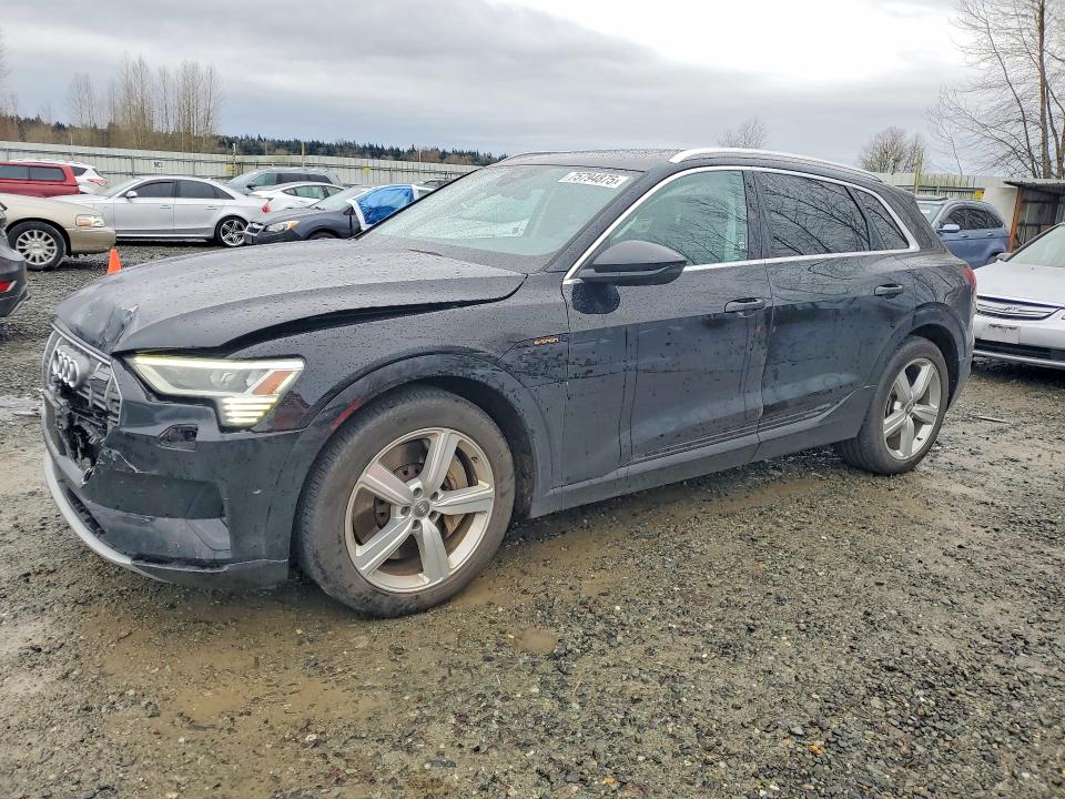 2019 Audi E-tron