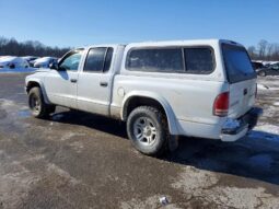
										2004 Dodge Dakota full									