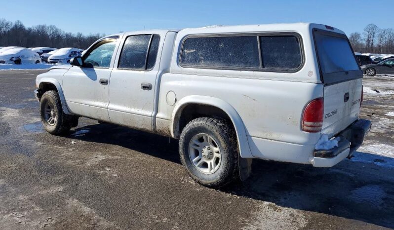 
								2004 Dodge Dakota full									