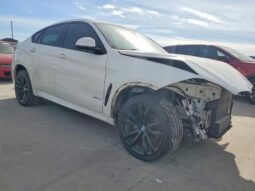 
										2017 BMW X6 full									