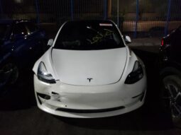 
										2019 Tesla Model 3 full									