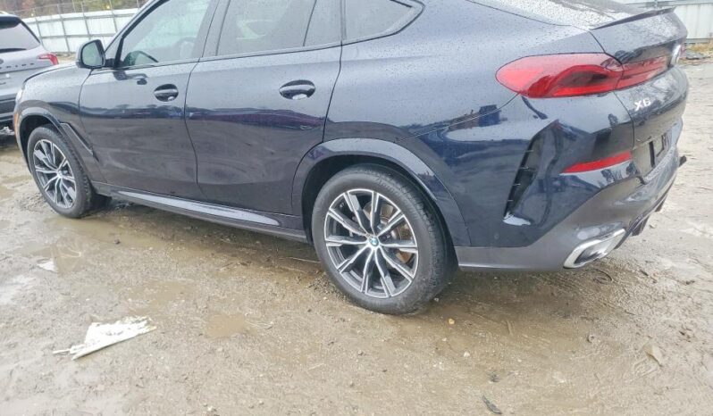 
								2025 BMW X6 full									