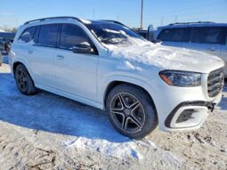 
										2025 Mercedes-benz Gls-klasse full									
