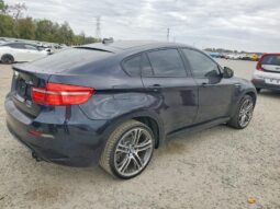 
										2013 BMW X6 full									