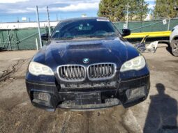 
										2013 BMW X6 full									