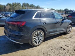 
										2019 Audi E-tron full									